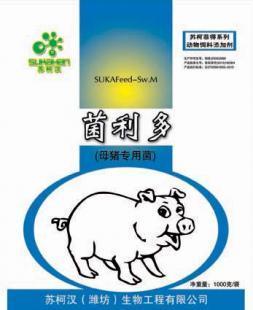 供應微生物飼料添加劑 母豬專用菌助力健康養殖，有效預防便秘